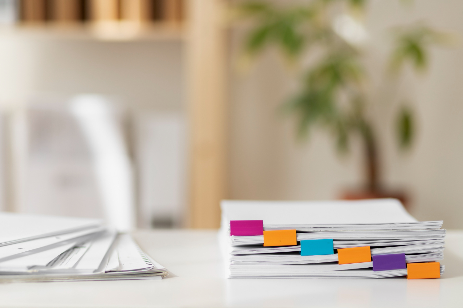 ZB%20Law%20&%20Economics